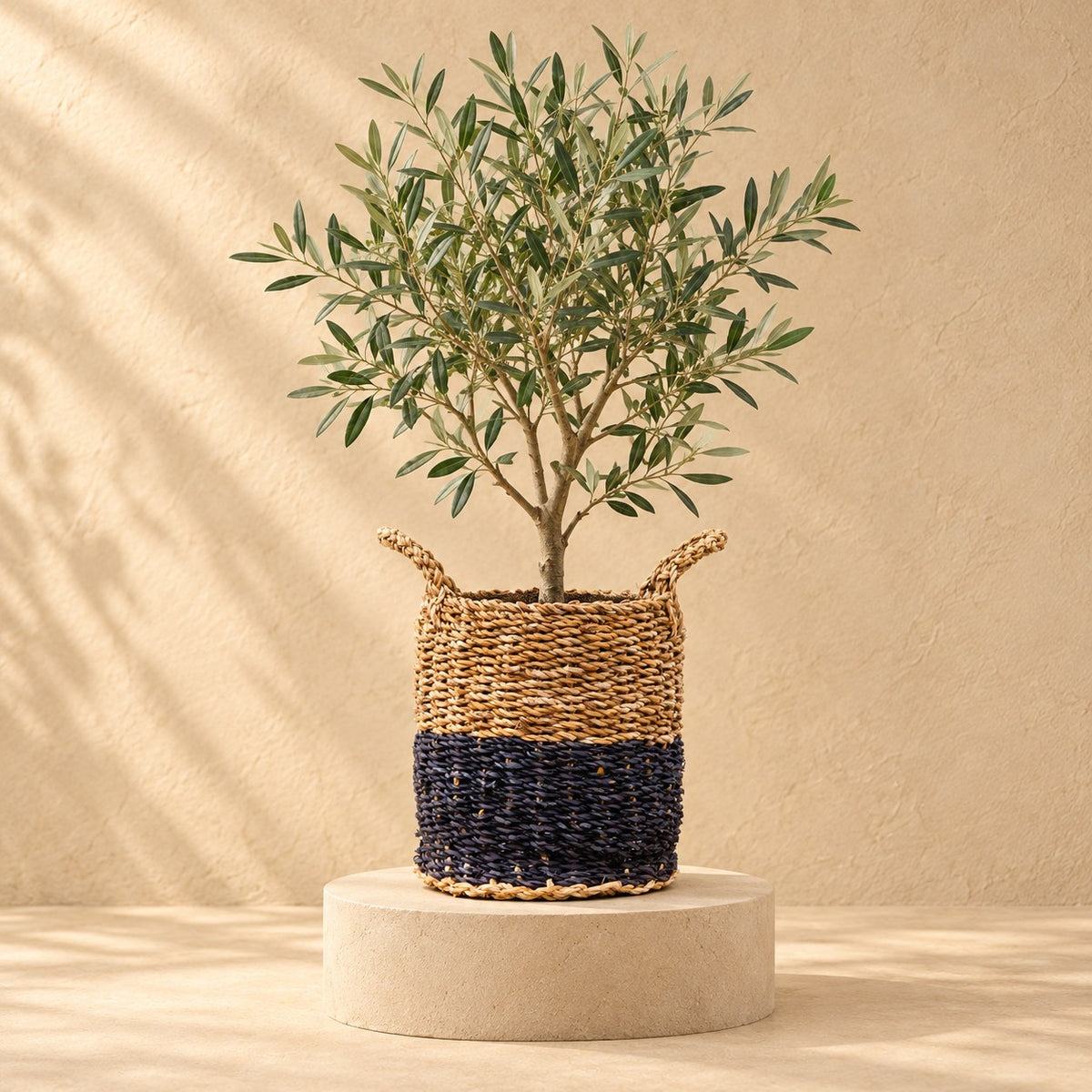 Mand Vic Ø26 x H23 cm, beplant