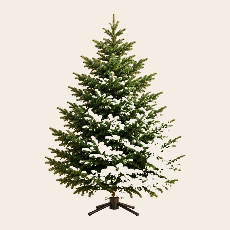 Kerstbomen
