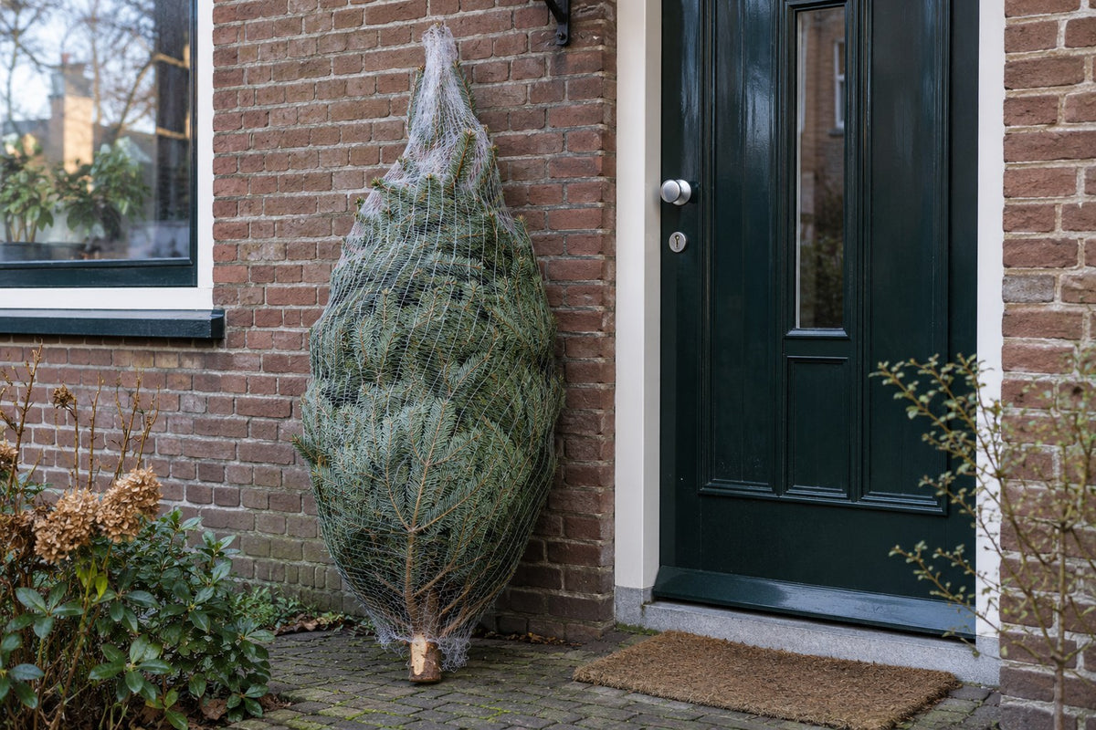 Kerstboom thuisbezorgd in een net