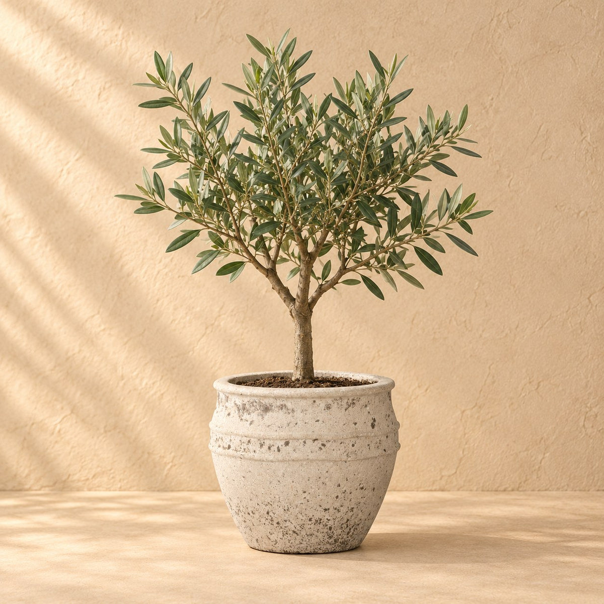 Dekorativ potte Athena Ø29 x H24 cm, med plante