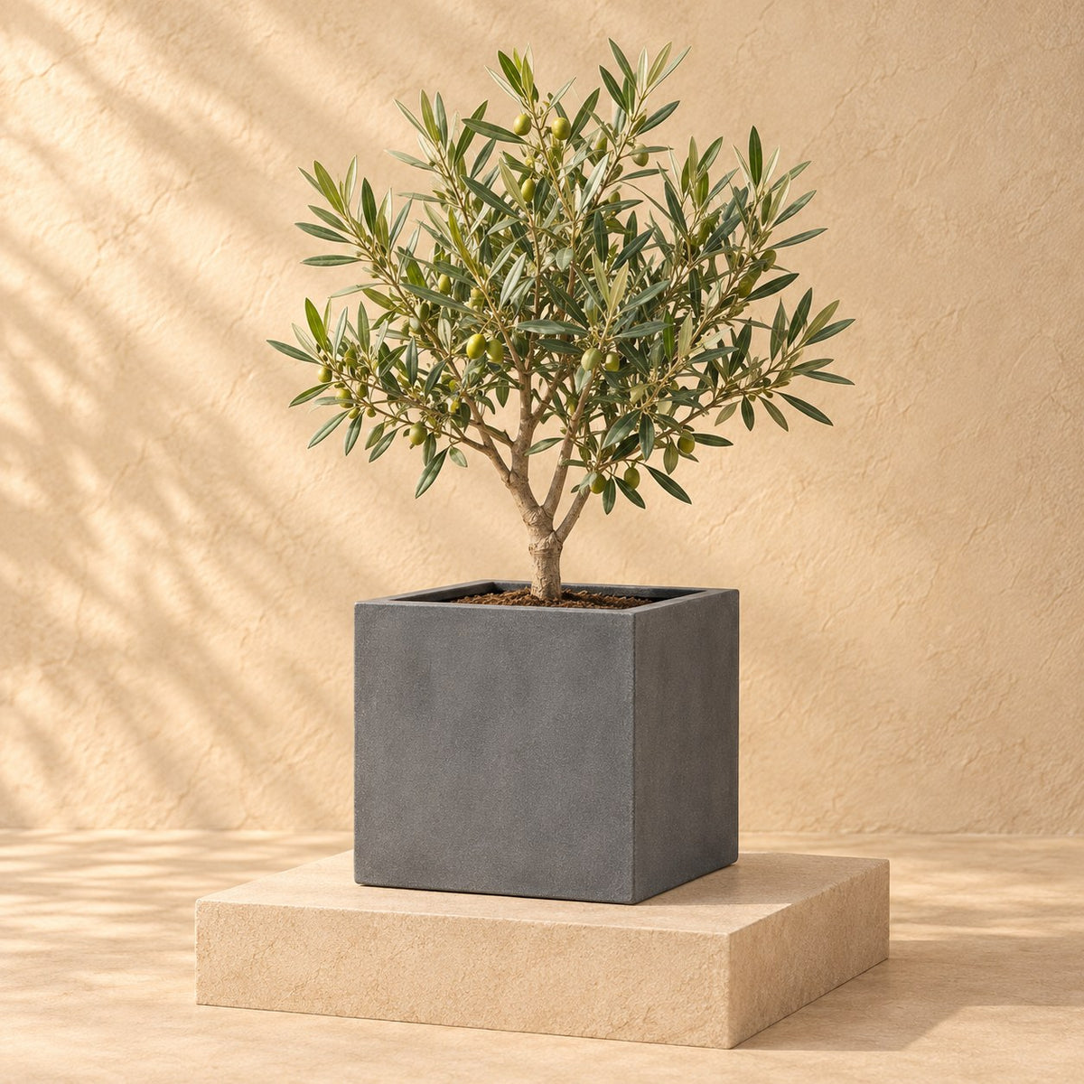 Sierpot Block Grey Ø30 x H30 cm, beplant