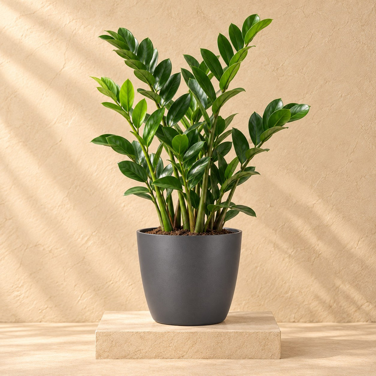Sierpot Elho Brussels round antraciet Ø20 x H19 cm, beplant
