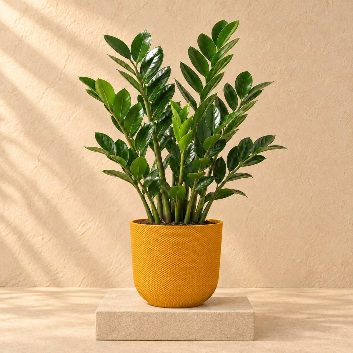 Sierpot Elho Jazz Round amber yellow Ø14 x H13 cm, beplant