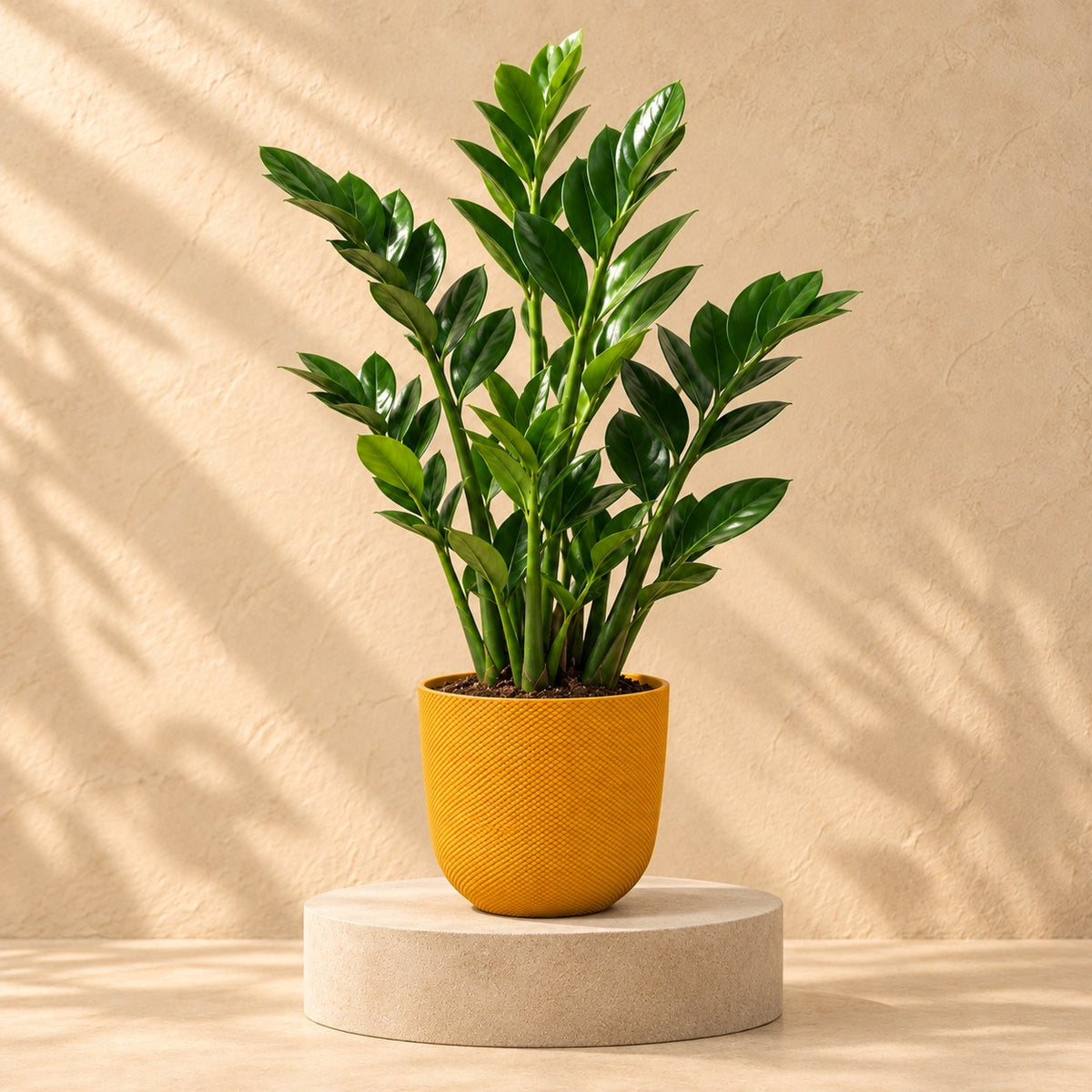 Sierpot Elho Jazz Round amber yellow Ø19 x H18 cm, beplant