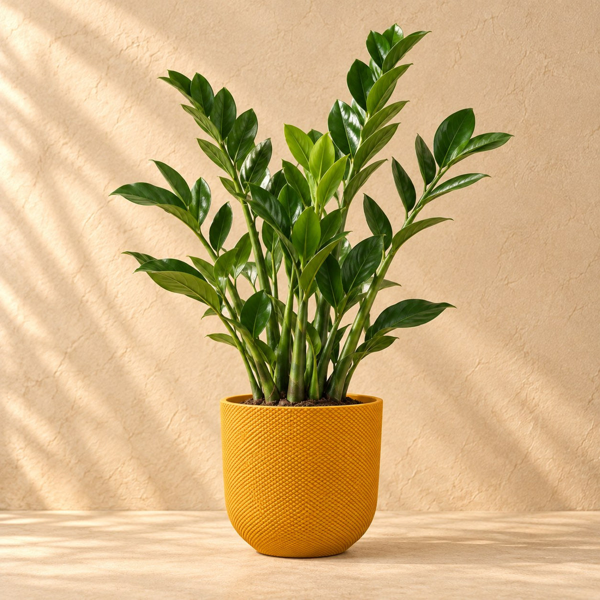 Sierpot Elho Jazz Round amber yellow Ø23 x H21 cm, beplant