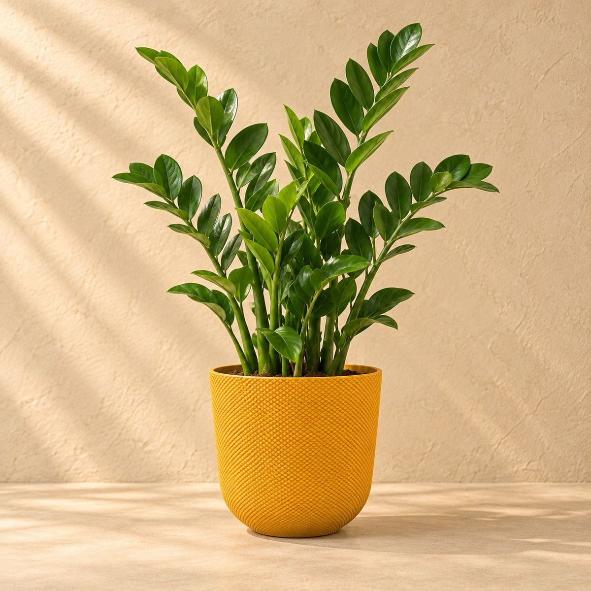 Dekorativ potte Elho Jazz Round amber yellow Ø26 x H24 cm, med plante