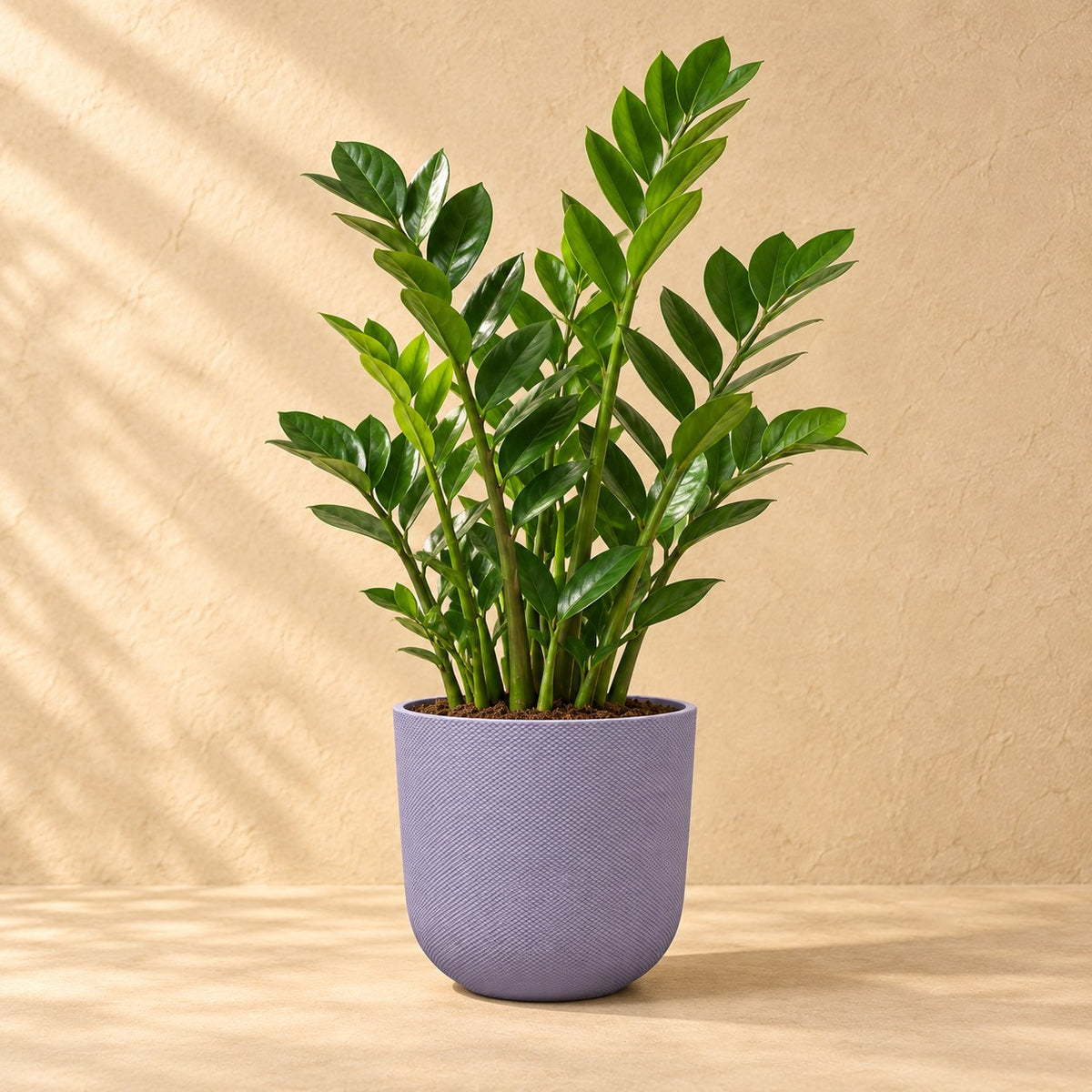 Sierpot Elho Jazz Round Lavender Lilac Ø26 x H24 cm, beplant