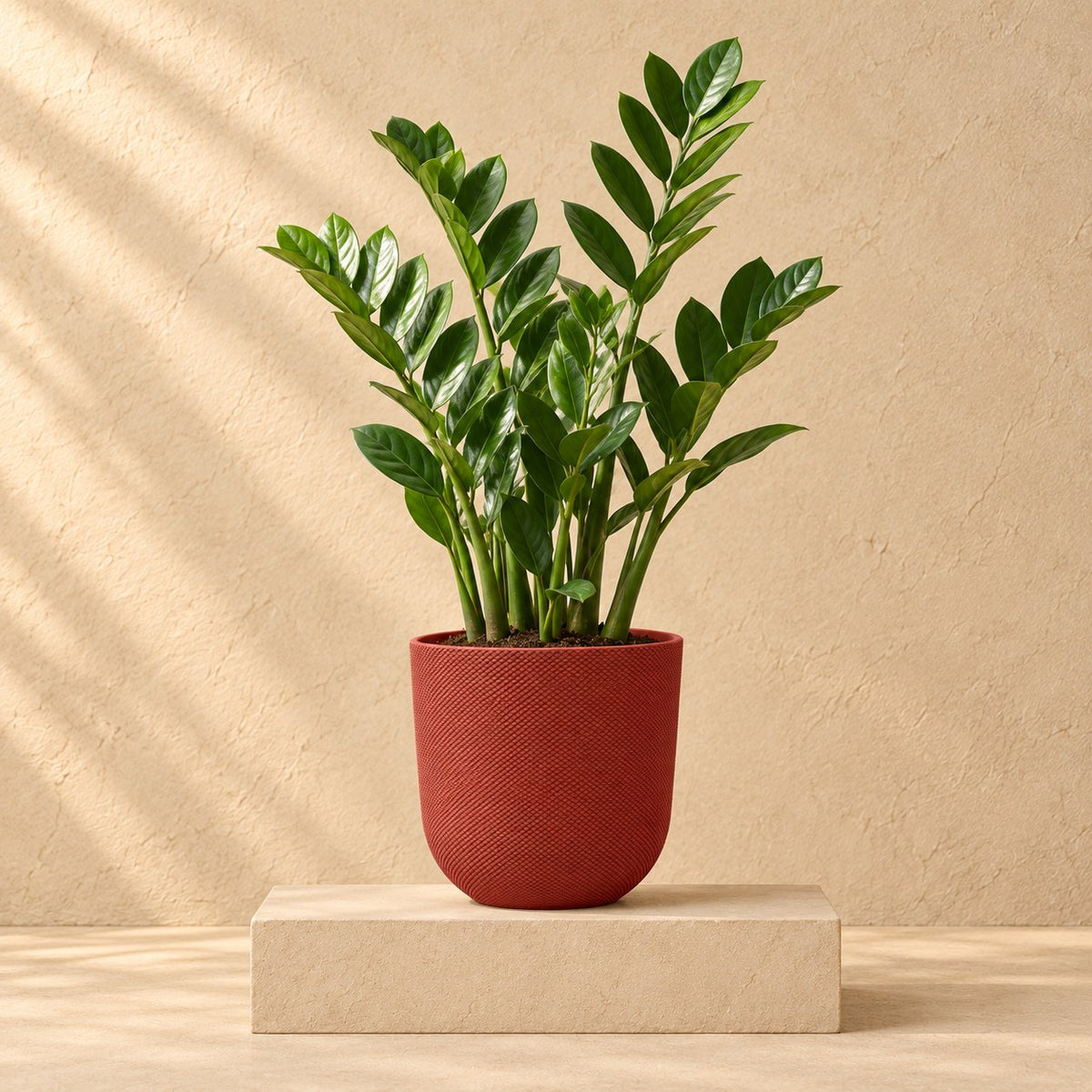 Sierpot Elho Jazz Round tuscan red Ø19 x H18 cm, beplant