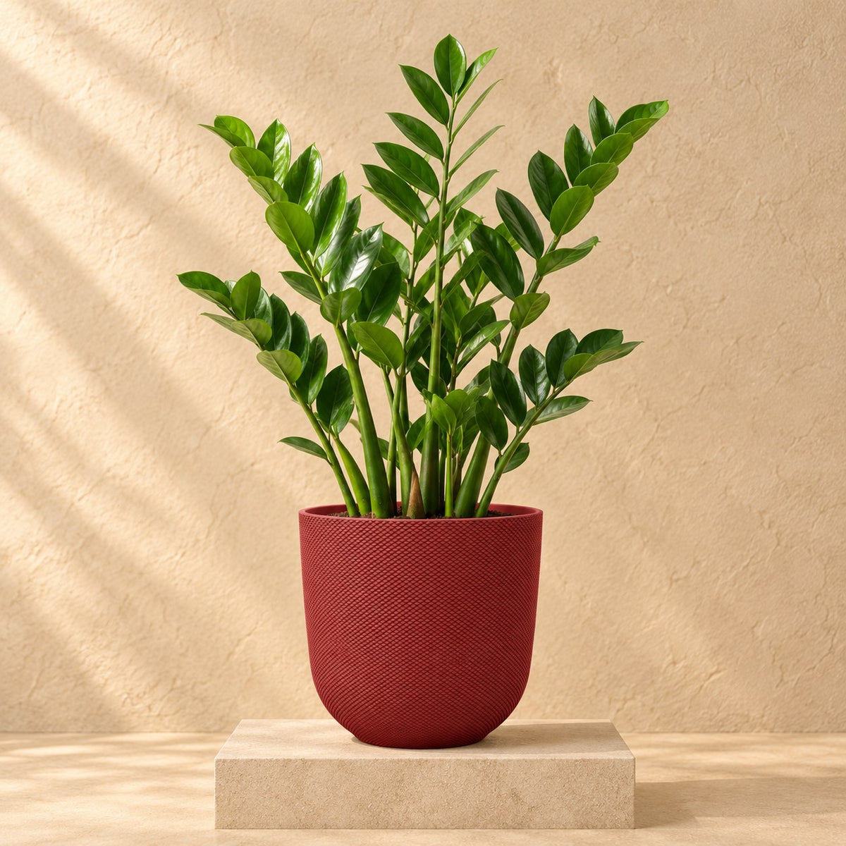 Sierpot Elho Jazz Round tuscan red Ø23 x H21 cm, beplant