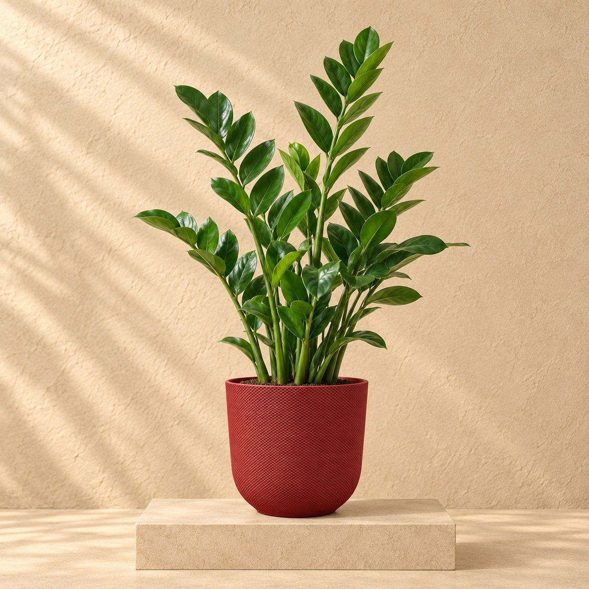 Sierpot Elho Jazz Round tuscan red Ø26 x H24 cm, beplant
