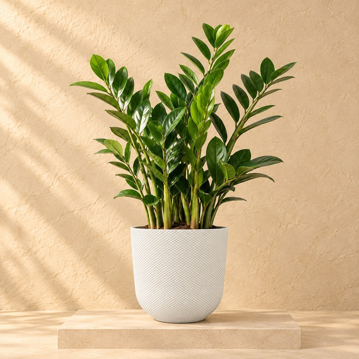 Decorative pot Elho Jazz Round white Ø26 x H24 cm, planted
