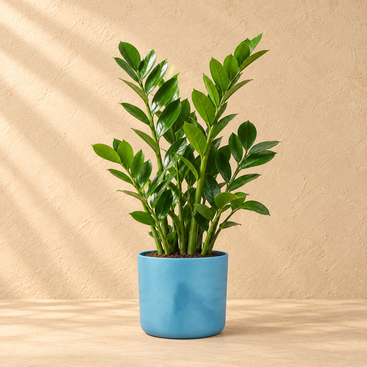 Sierpot Elho Ocean Round atlantic blue Ø14 x H13 cm, beplant