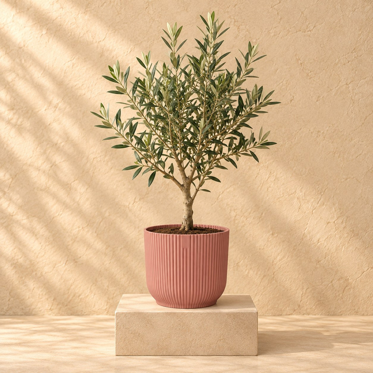 Maceta decorativa elho Vibes Fold Round rosa Ø18 x H17 cm, con planta