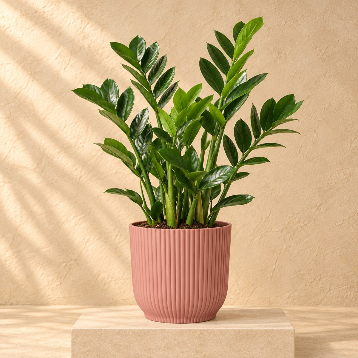 Sierpot elho Vibes Fold Round roze Ø22 x H20 cm, beplant