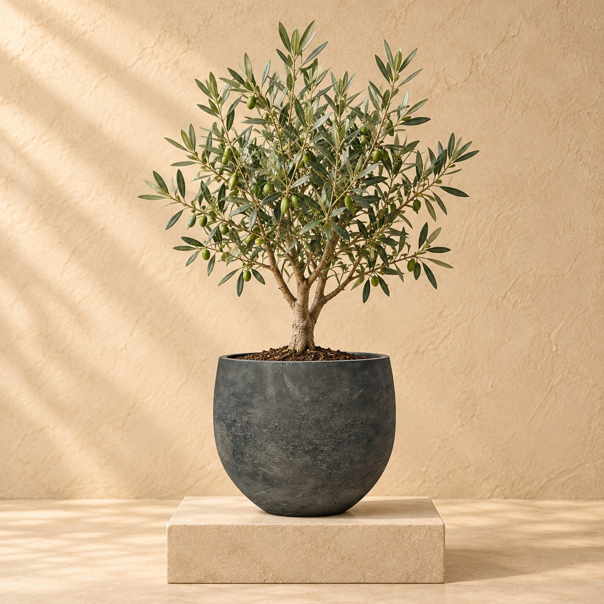 Sierpot Orb Black Washed Ø32 x H28 cm, beplant