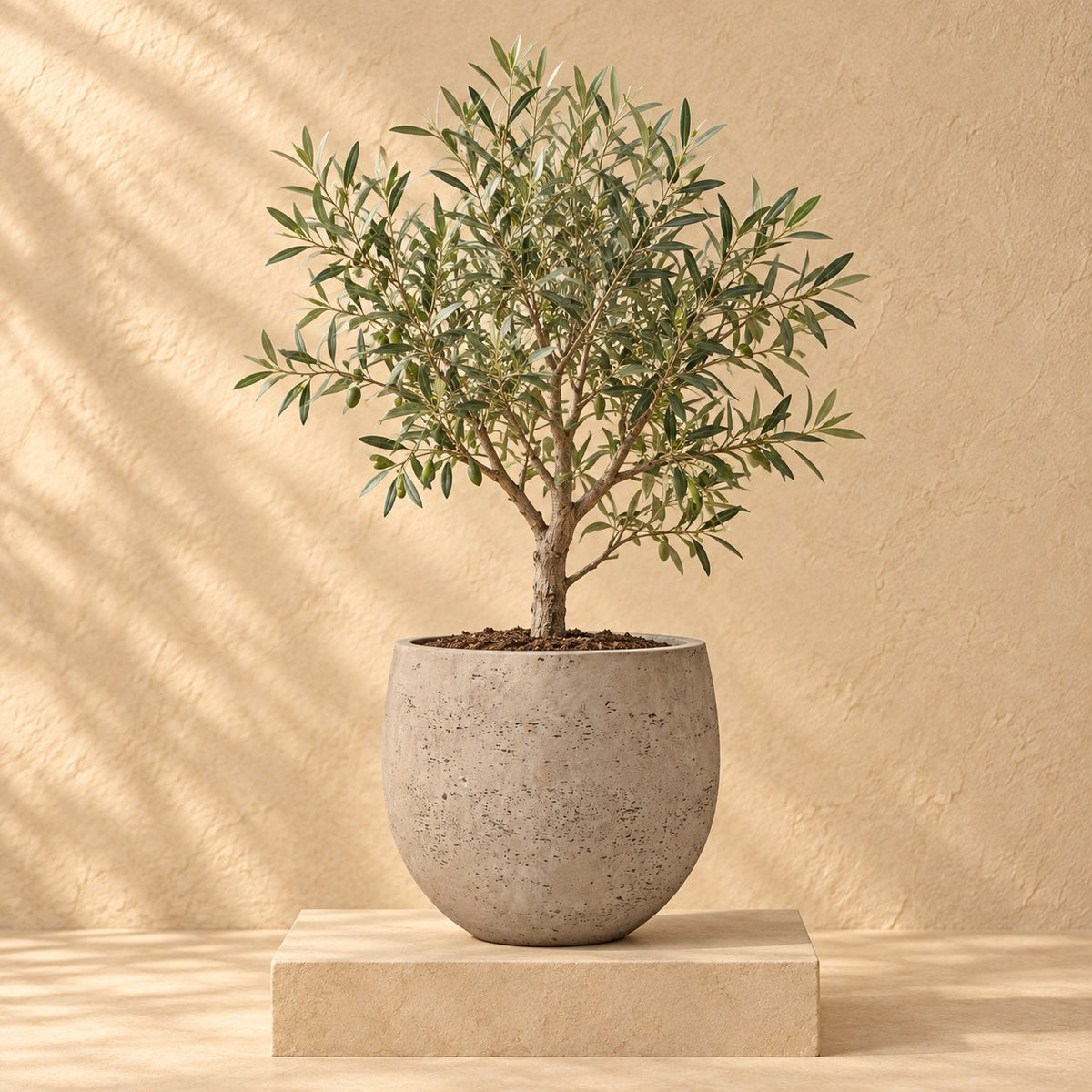 Sierpot Orb Grey Washed Ø32 x H28 cm, beplant