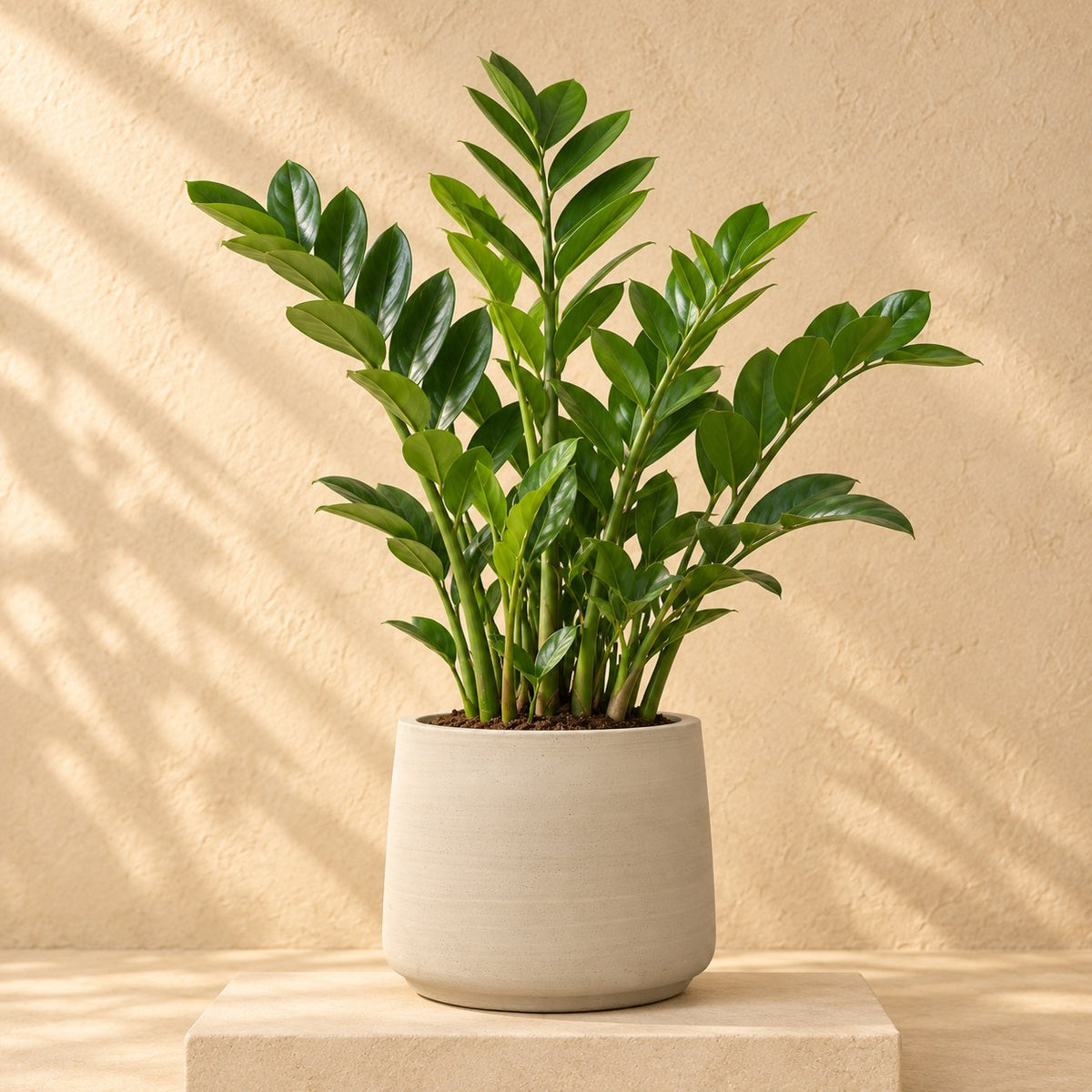 Sierpot Patt Beige Washed Ø23 x H19 cm, beplant