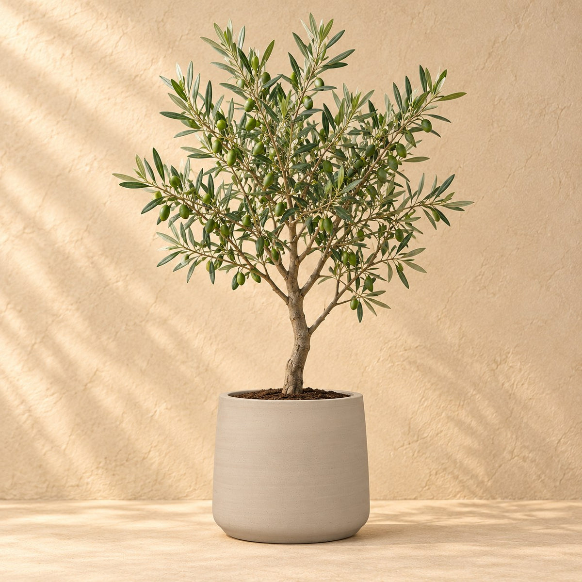 Sierpot Patt Beige Washed Ø34 x H28 cm, beplant