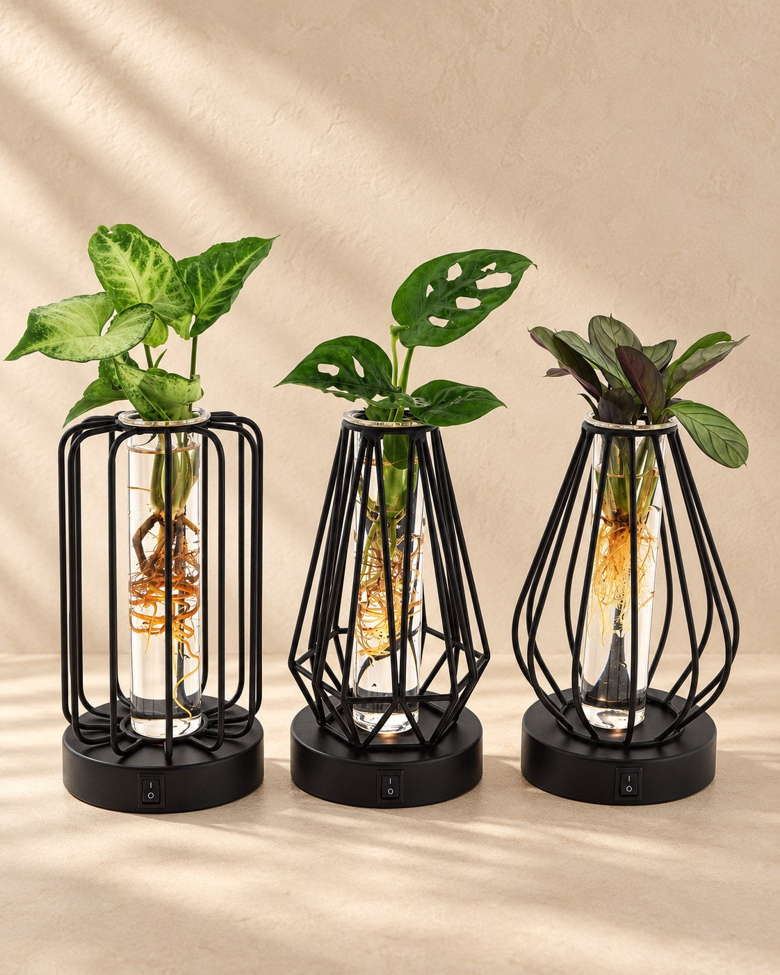 Talee in vetro con lampada LED