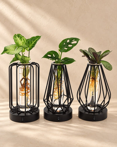 Talee in vetro con lampada LED