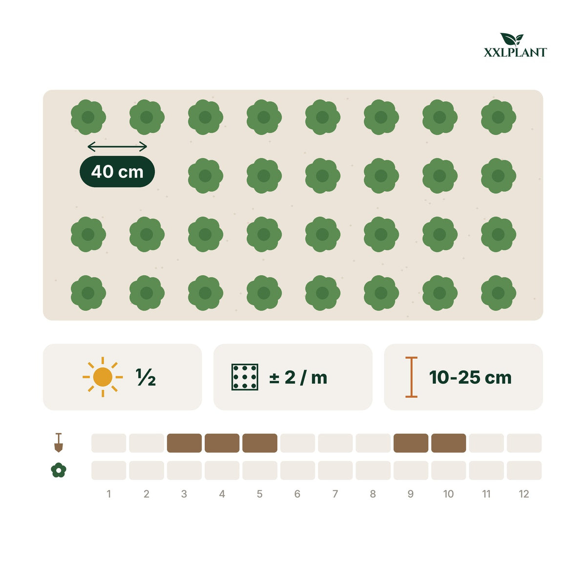 Plantkaart struikkamperfoelie lonicera maigruen: ongeveer 2 planten per meter