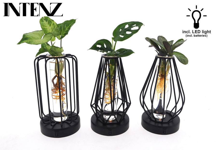 Talee in vetro con lampada LED (3 pezzi, ø7 cm, 20 cm di altezza)