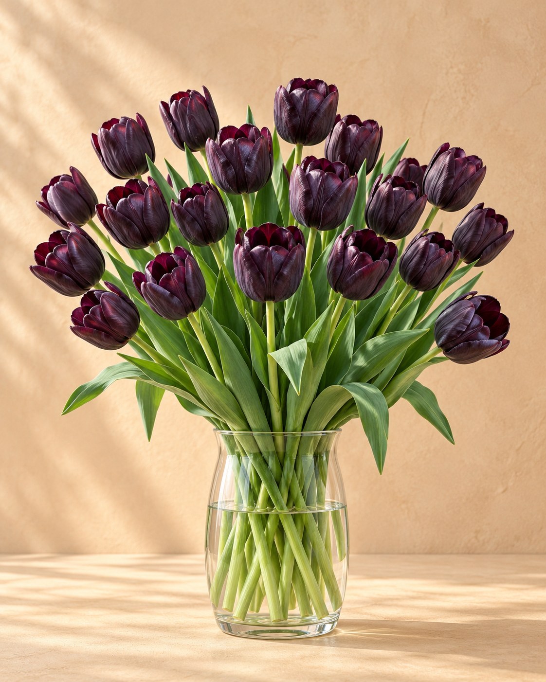 Tulpen Black in bloei in een vaas
