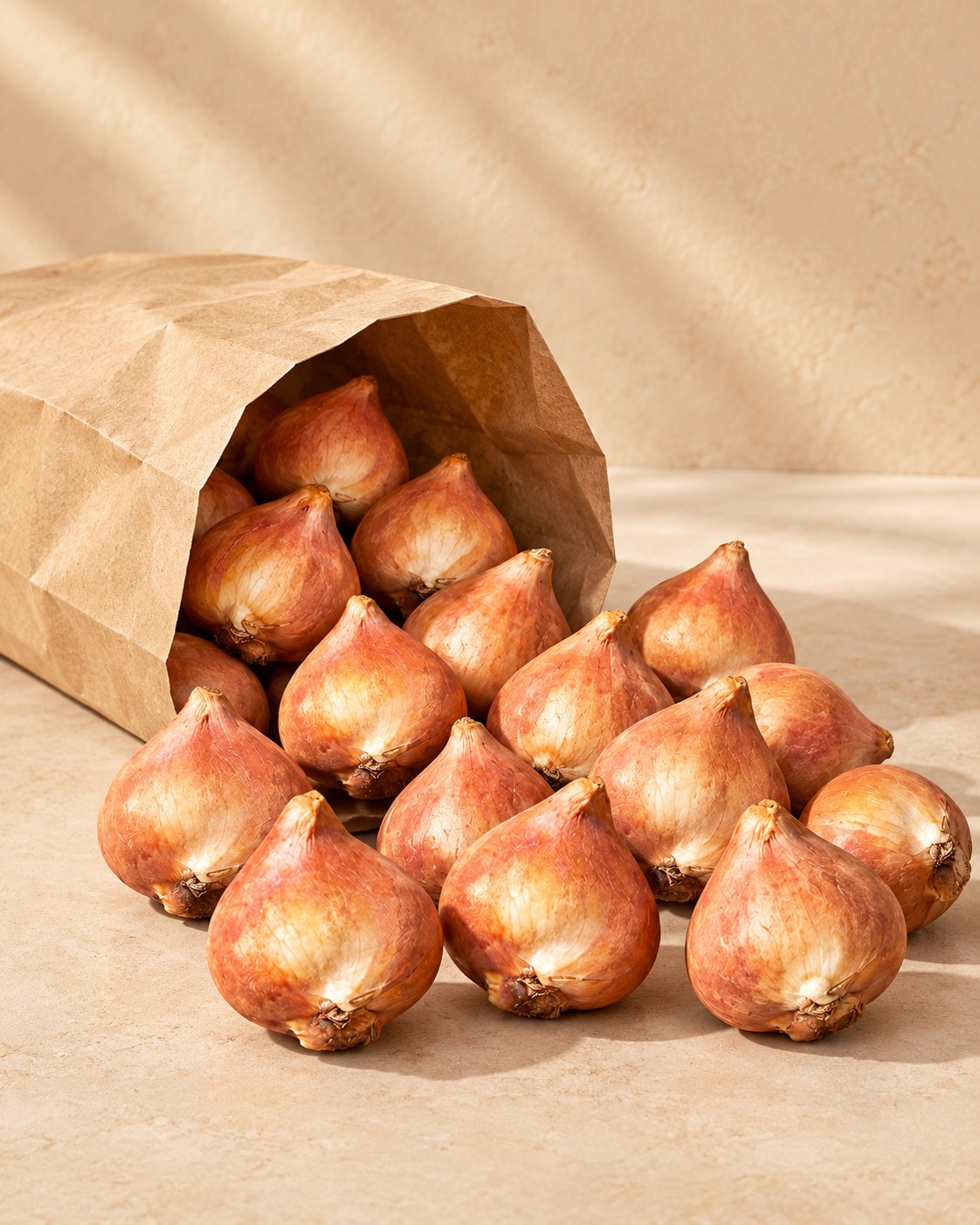 Bollen van tulpen strawberry lemonade