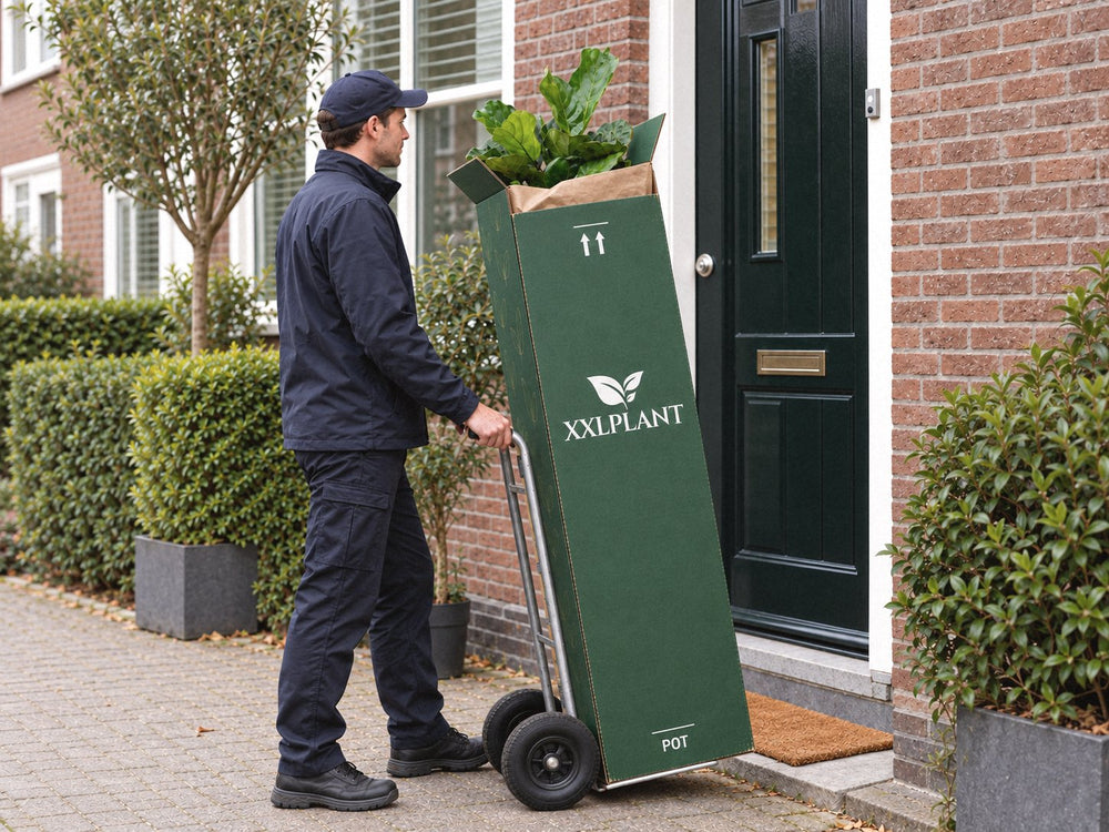 Bezorger rijdt de plantendoos op een steekwagen naar de voordeur